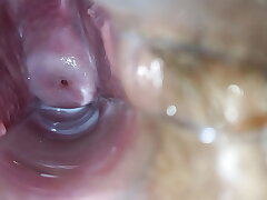 Throbbing ejaculation inwards vulva