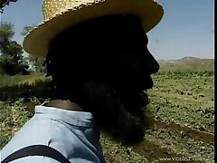 homey-in-the-haystack