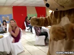 It's time to feast and soiree with the infamous Dancing Bear! (db9822)