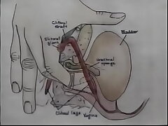 Sex Education Orgasm Training Video