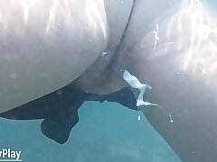 Underwater creampie while swimming after cum inside pussy