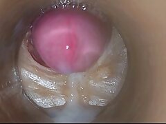 Precum in my pussy Camera In Vagina 4k