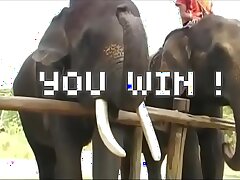 My wild and crazy week in Pattaya was a pussy-smashing success!