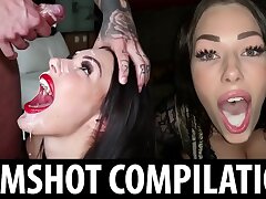 Superb Bi-otches Don't Dodge The Cum - SHAIDEN ROGUE Facial Cum shot & Cum shot COMPILATION