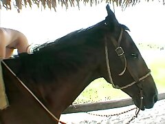 Fucking while railing a horse