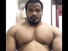 monstrous thai bull [tags: muscle, bodybuilder, Asian, beefy, massive, thick, pecs, pec flexing, pec bouncing, chest, posing, flexing, hunk, muscular, off season]