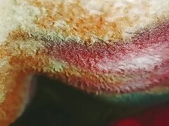 Active India gals Village food my apartment in the world