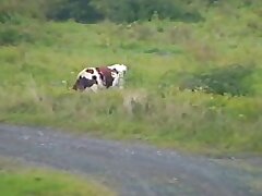 stiff mother flashes daughter what you can put in the pussy