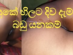 tonguing Ass fucking Sinhala Elation from the tongue -ass slurping