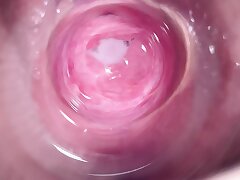 Camera deep inside Mia's teenie taut honeypot