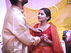 Desi Bihaari Bhabhi Xxx fucked by dewarji when Bhaiya not at home ( Hindi Audio )