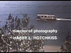 Summer in Heat (1979)