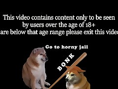 Pink Honies on Parade Video Archive Vol.1